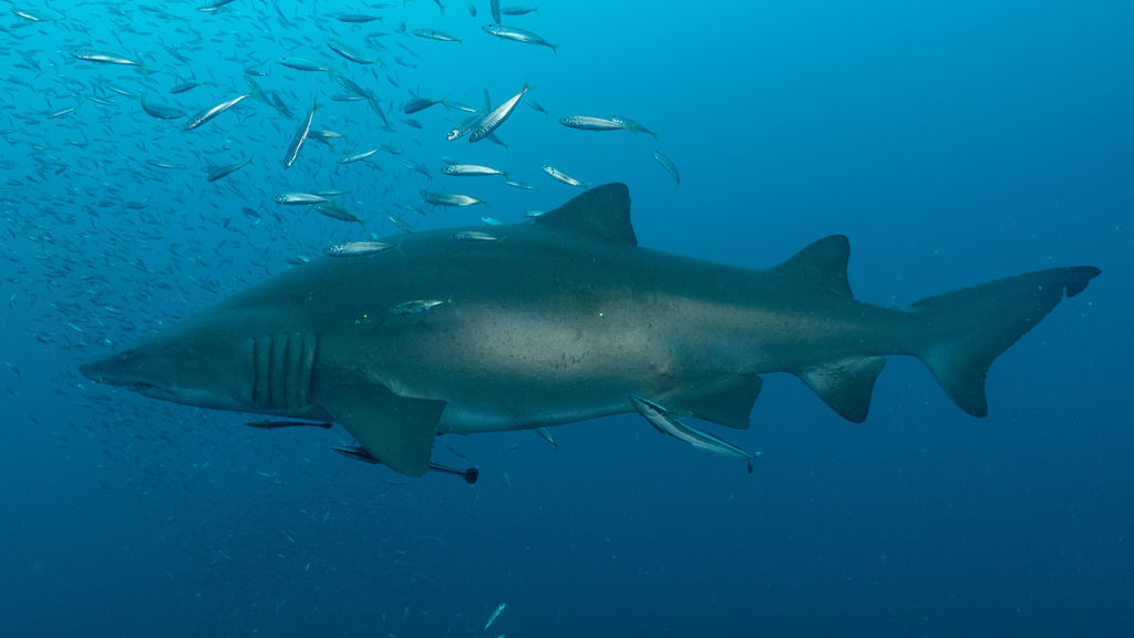 f3fbda0e-27e5-420b-8af8-e7adbac8c942