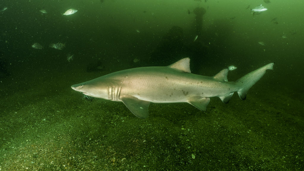 676d920b-d374-4451-8cf5-43af4a6d6729