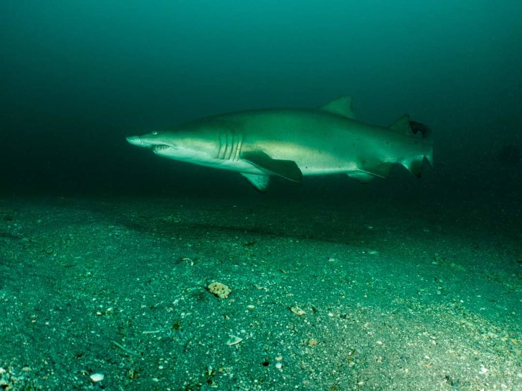 bfb6177c-b55c-4e0e-9a36-a44d0a483a02