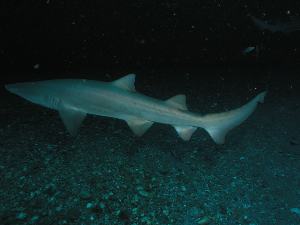 fbc4a655-5a2e-44df-a49c-73beb6733e94