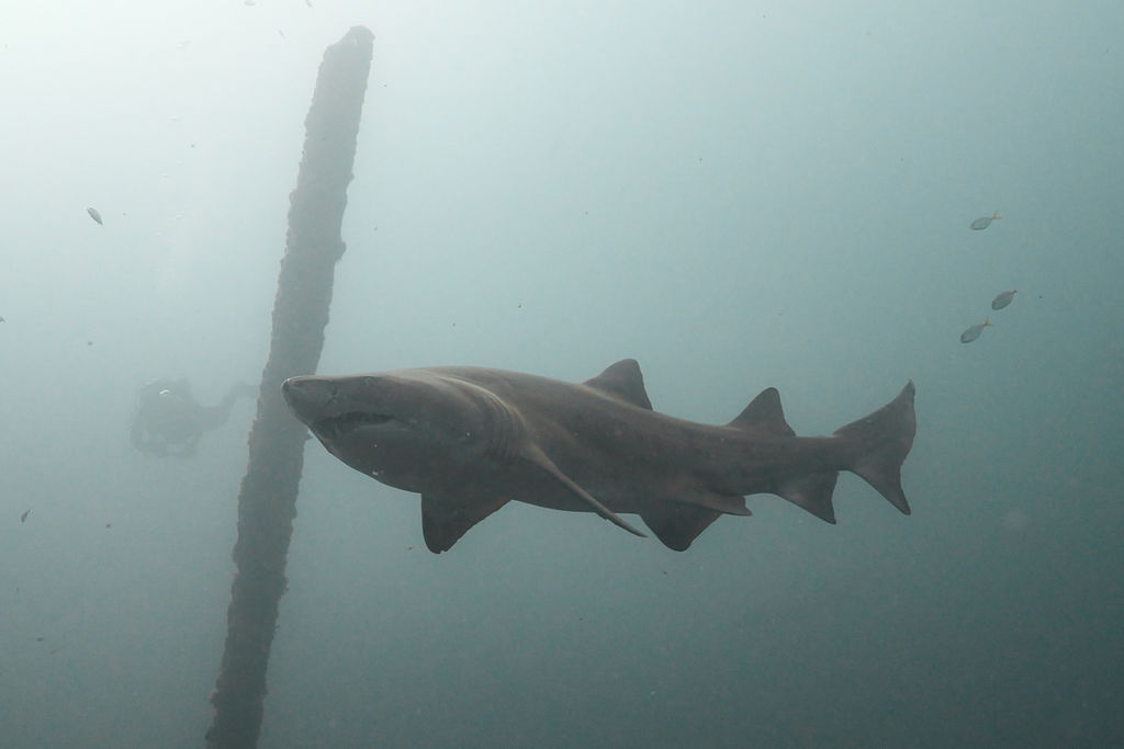 3f02e93e-480e-4c59-ace2-3316fda21c19