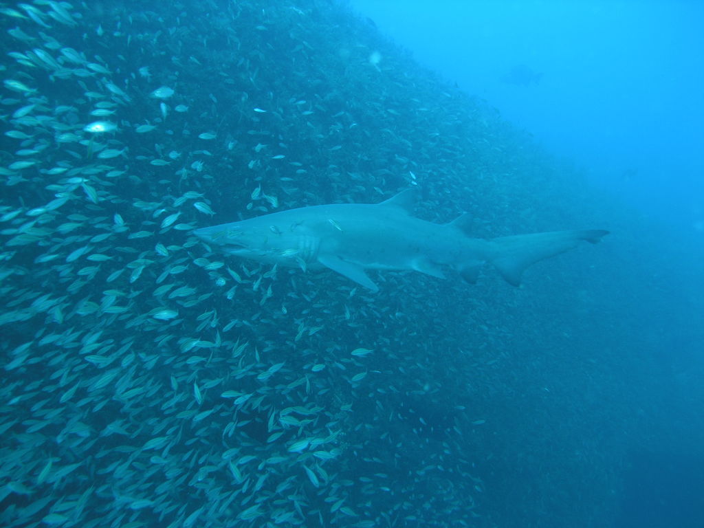 9adb4c41-7765-4996-a7fd-db00d354005c