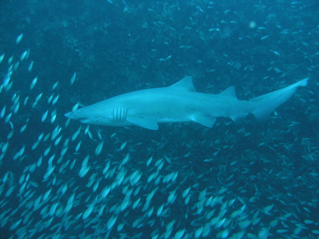 9adb4c41-7765-4996-a7fd-db00d354005c