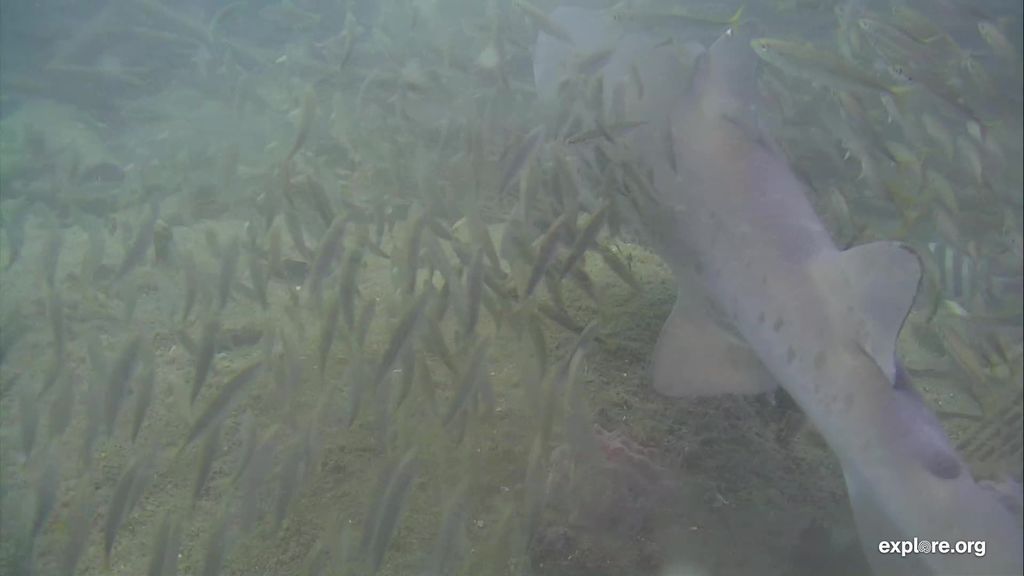 4a11a1e7-6561-49de-9fbf-95011026923c