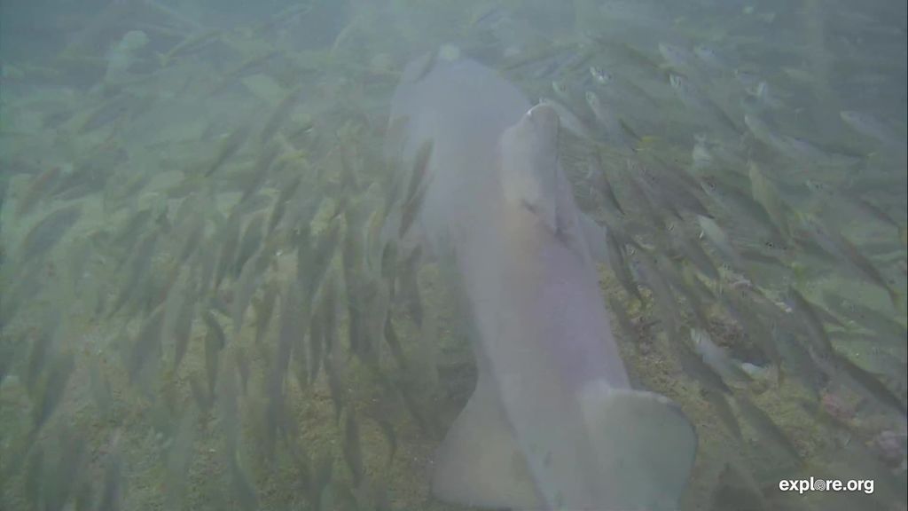 4a11a1e7-6561-49de-9fbf-95011026923c