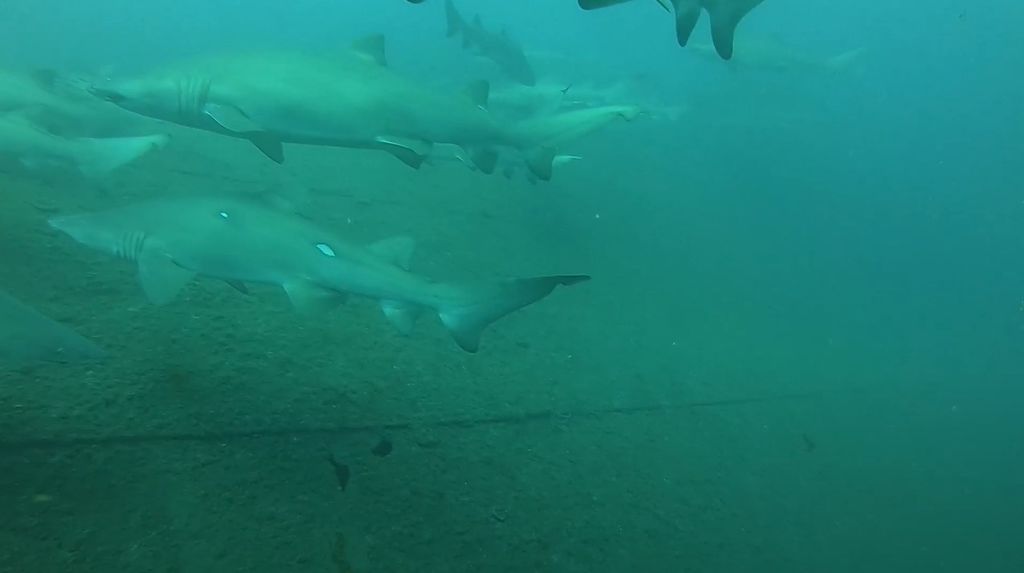 5573f4a6-c15d-4fcb-bc13-cae1a27548cc