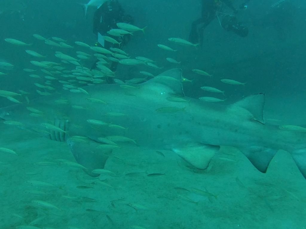 3d7320fe-421f-4830-a36d-d43302d2c36d