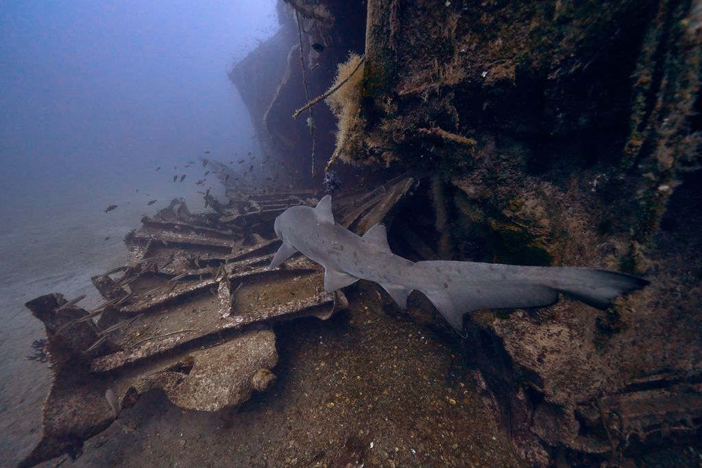 98cc064b-fd7f-49eb-8030-516321b474a0