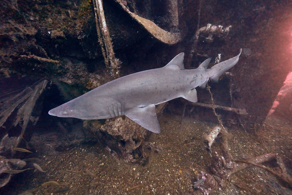 98cc064b-fd7f-49eb-8030-516321b474a0