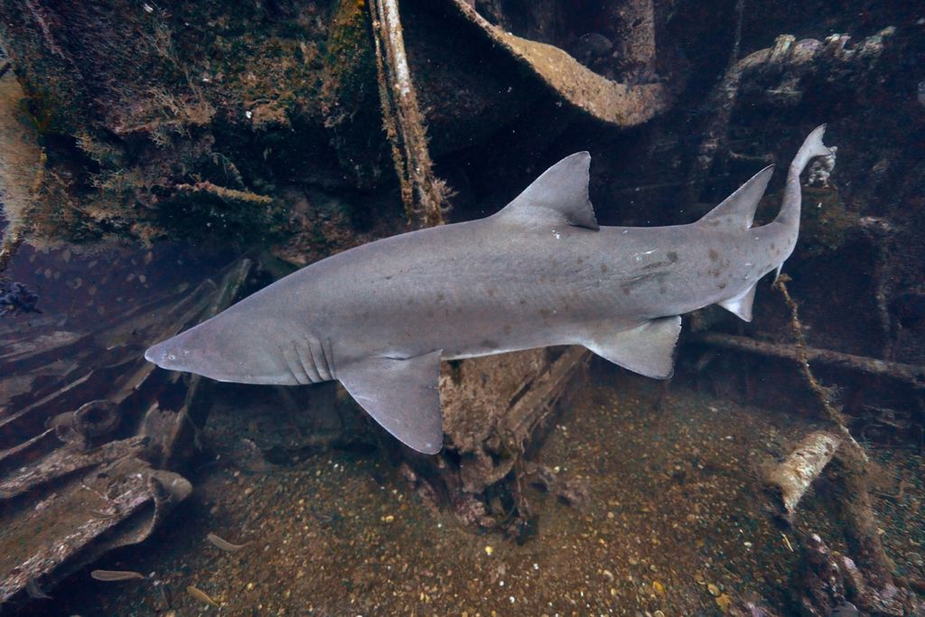 98cc064b-fd7f-49eb-8030-516321b474a0