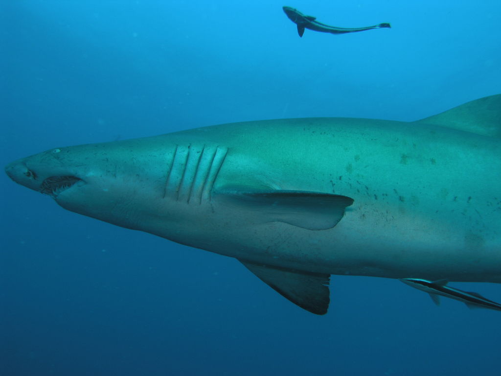 42e4a581-7a0e-4bb4-a65d-96d49c87323a