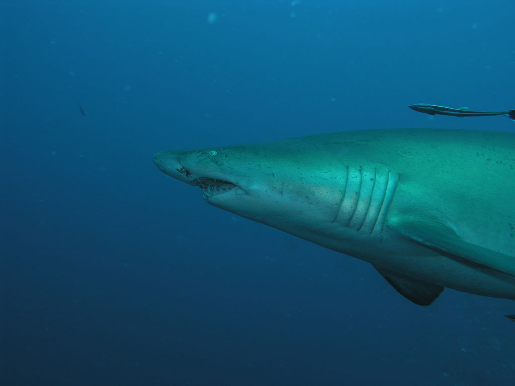 42e4a581-7a0e-4bb4-a65d-96d49c87323a