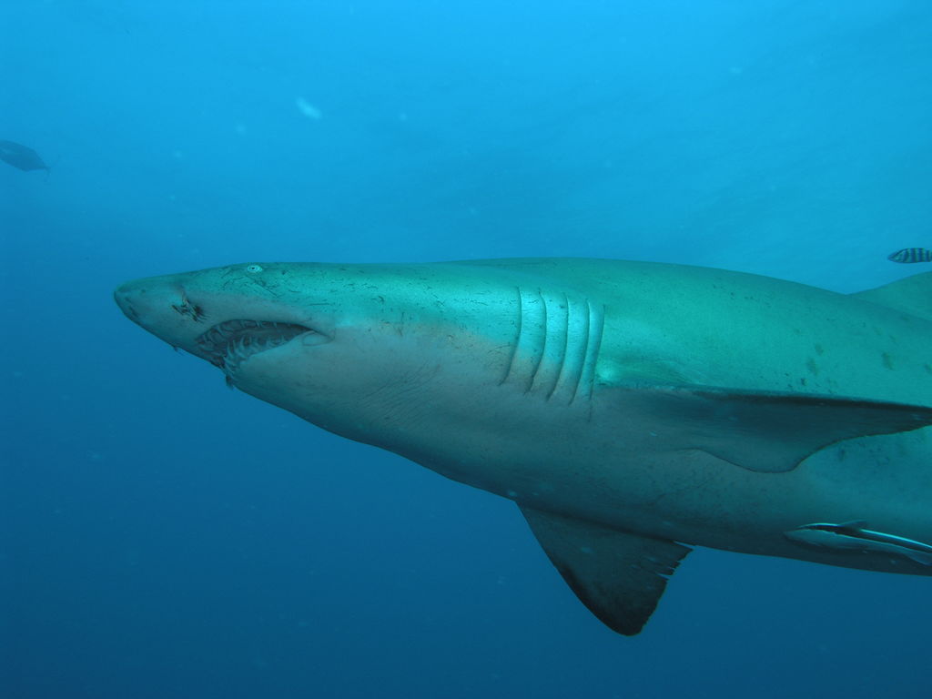 42e4a581-7a0e-4bb4-a65d-96d49c87323a