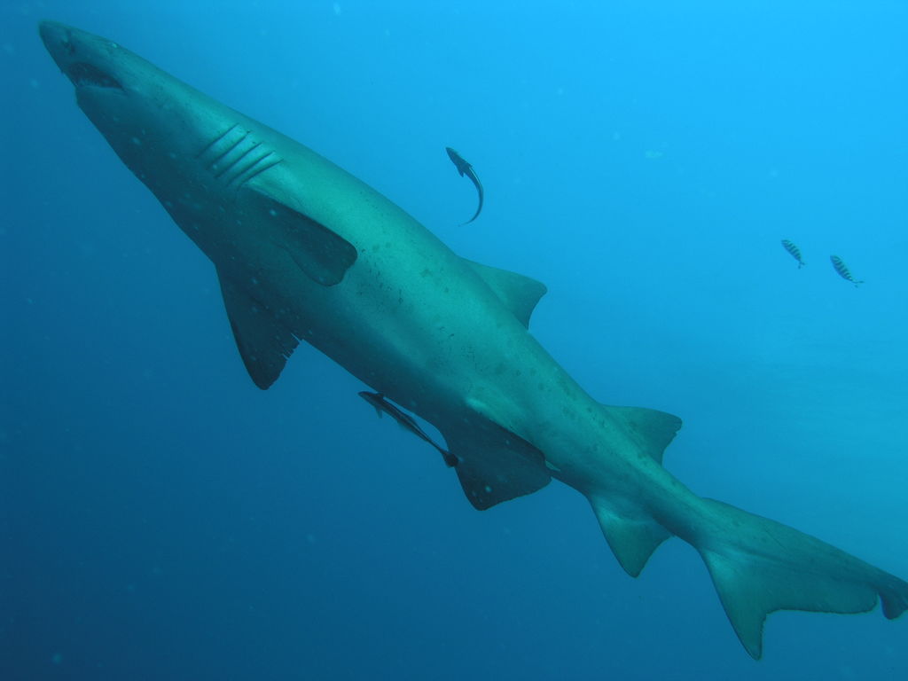 42e4a581-7a0e-4bb4-a65d-96d49c87323a