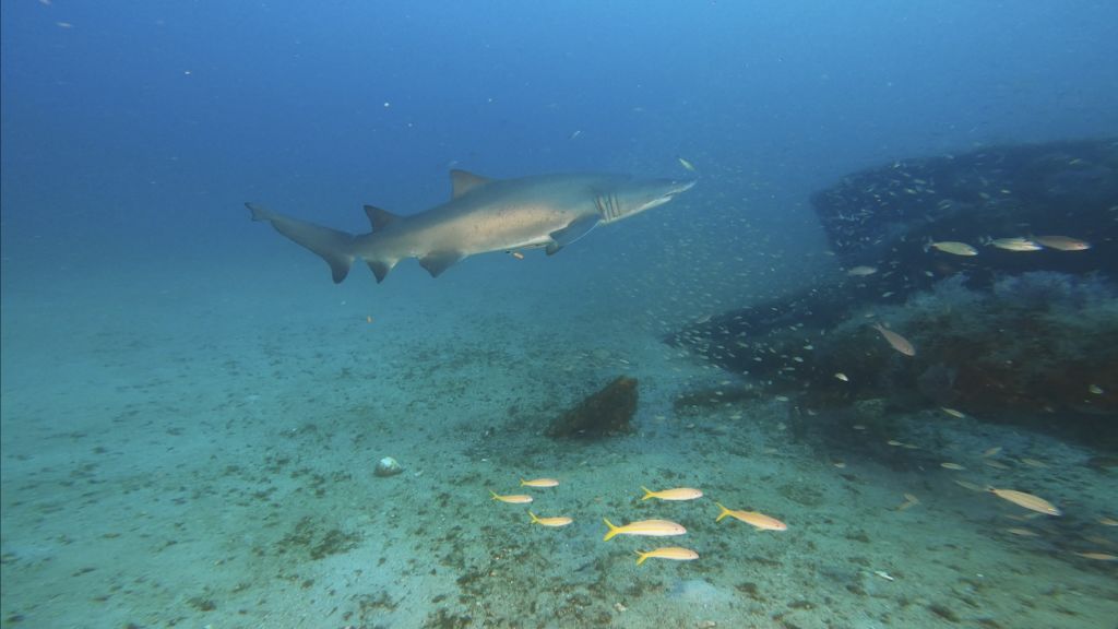 7feb0c3a-c77b-47a8-ac3e-dcc7449b42f6