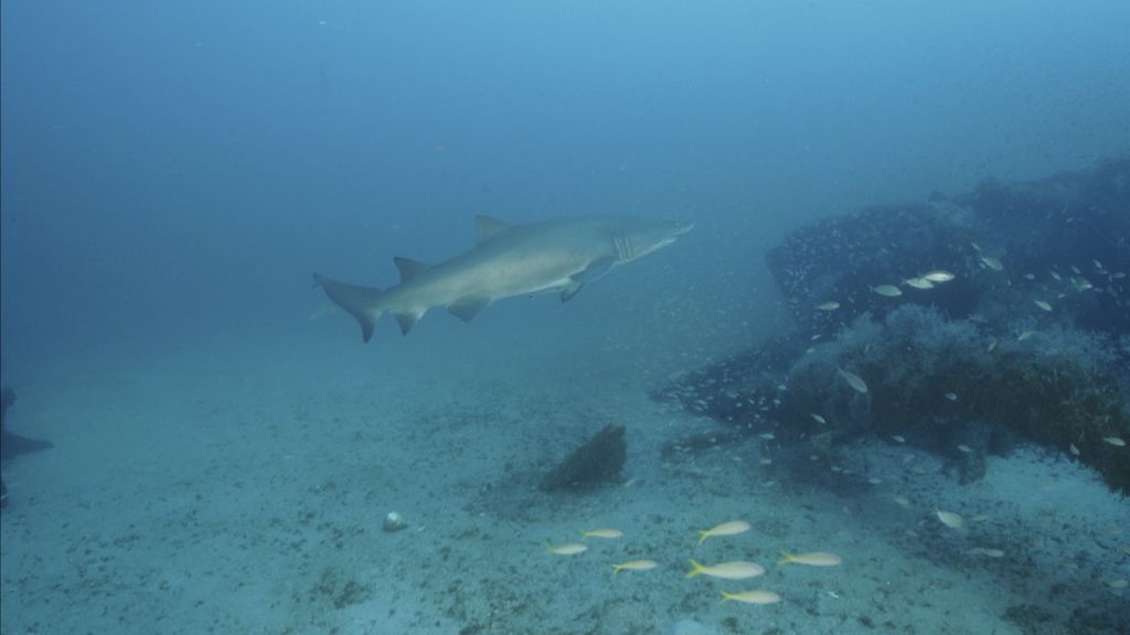 7feb0c3a-c77b-47a8-ac3e-dcc7449b42f6