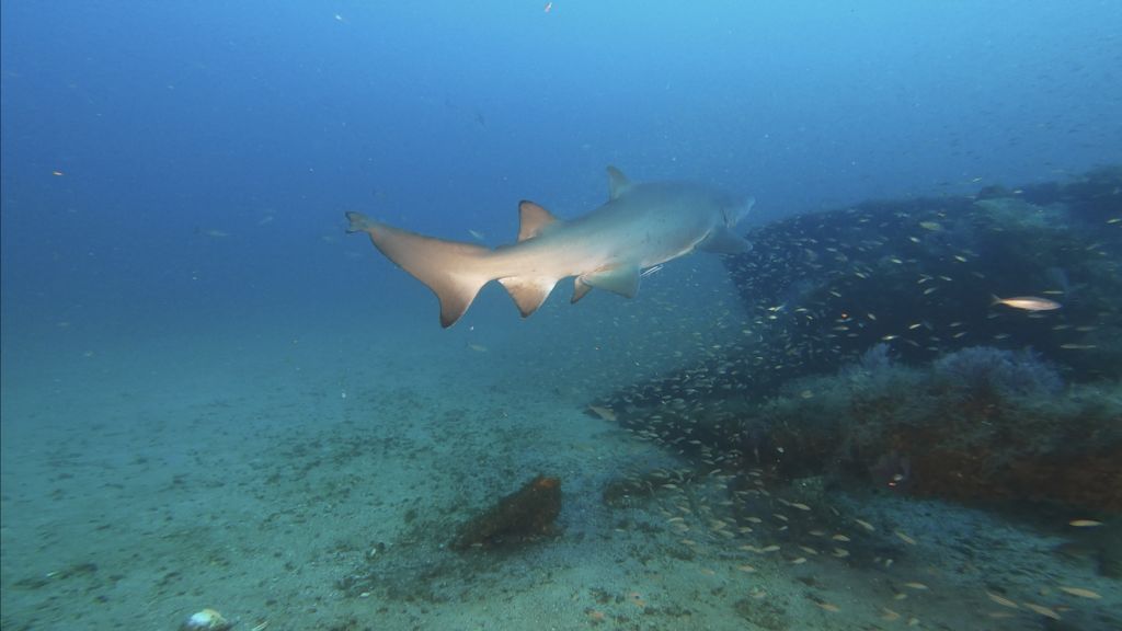 7feb0c3a-c77b-47a8-ac3e-dcc7449b42f6