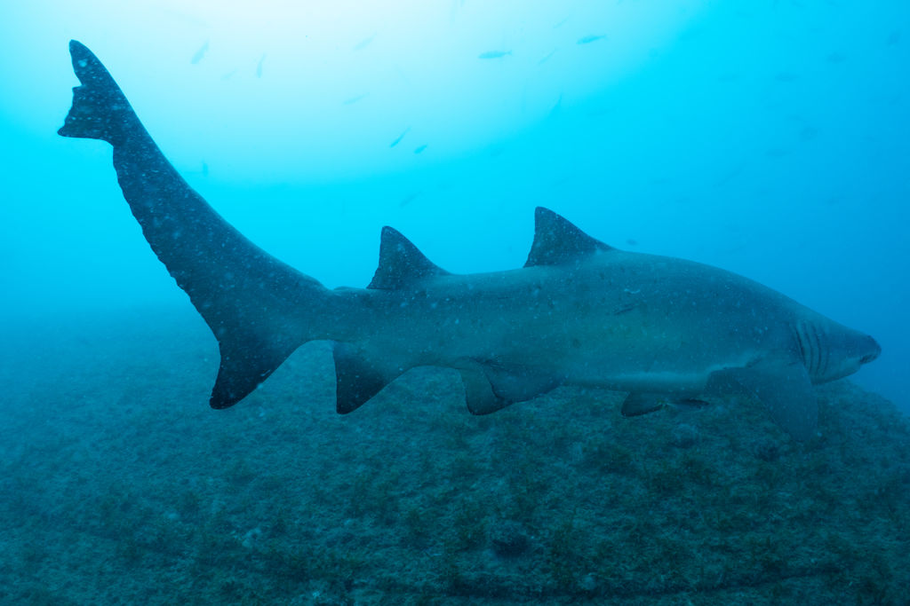 0f27d41d-0dc4-4d1a-a852-d67a13b8dddb