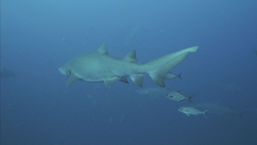 cdd522d8-86ee-4353-8360-ede41b5af201