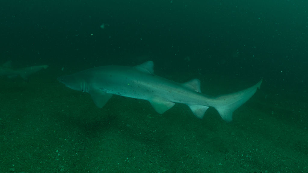 564a8bf1-a339-48b0-a342-1165a8ca4c93