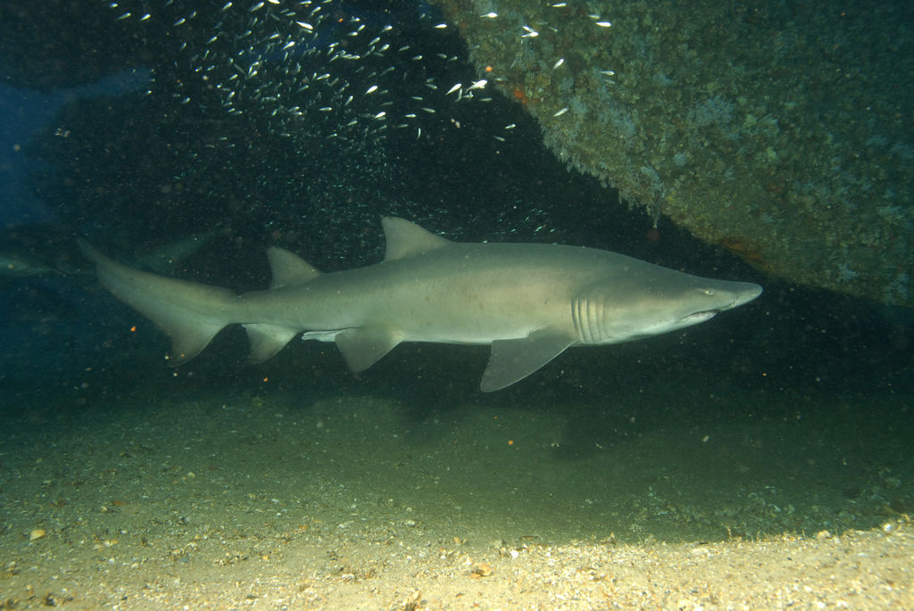 ccbc2b1e-b121-4b41-ae97-1f7e0acacb03