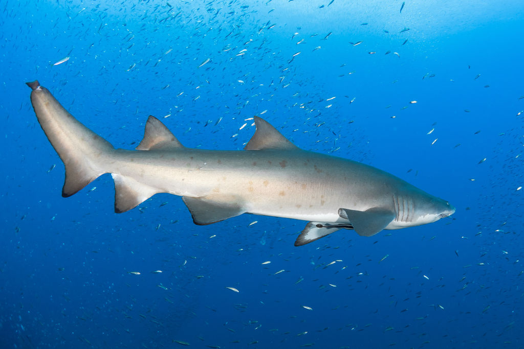 8aafe040-bad9-4b07-a380-b16c34ab1f59