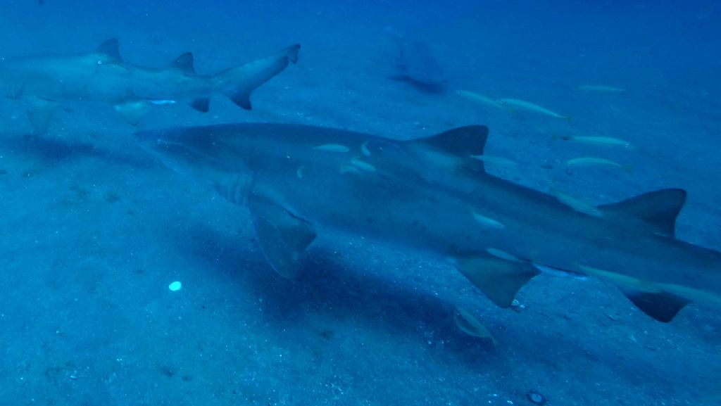 87664080-6936-45ee-a803-8d5e4af5546c