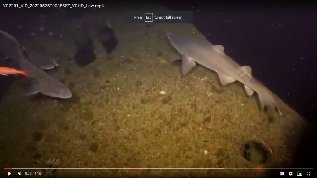 6029b923-0a66-4301-9379-82c39cf0d72e