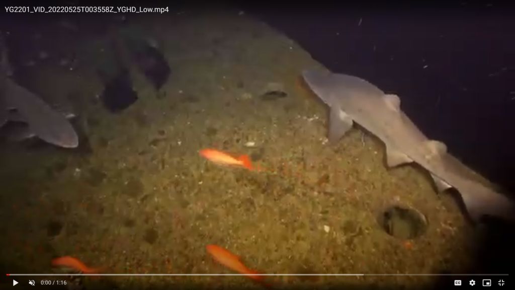 6029b923-0a66-4301-9379-82c39cf0d72e