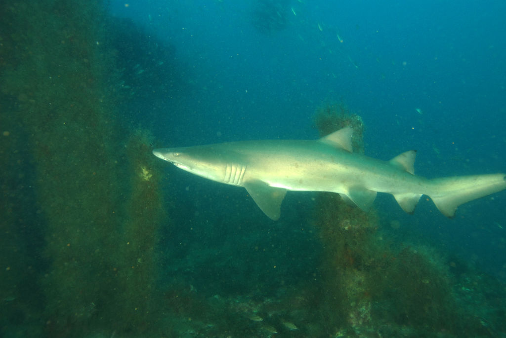 c787432e-43ff-4923-9830-422a939f4f59