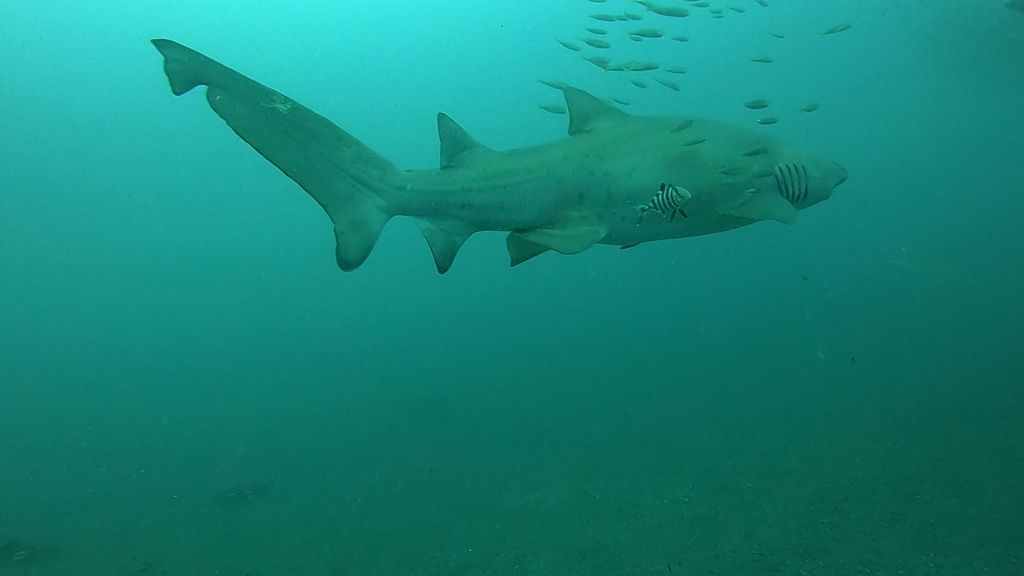 abaabe54-bfe2-43e0-8a7e-71d060fc640c