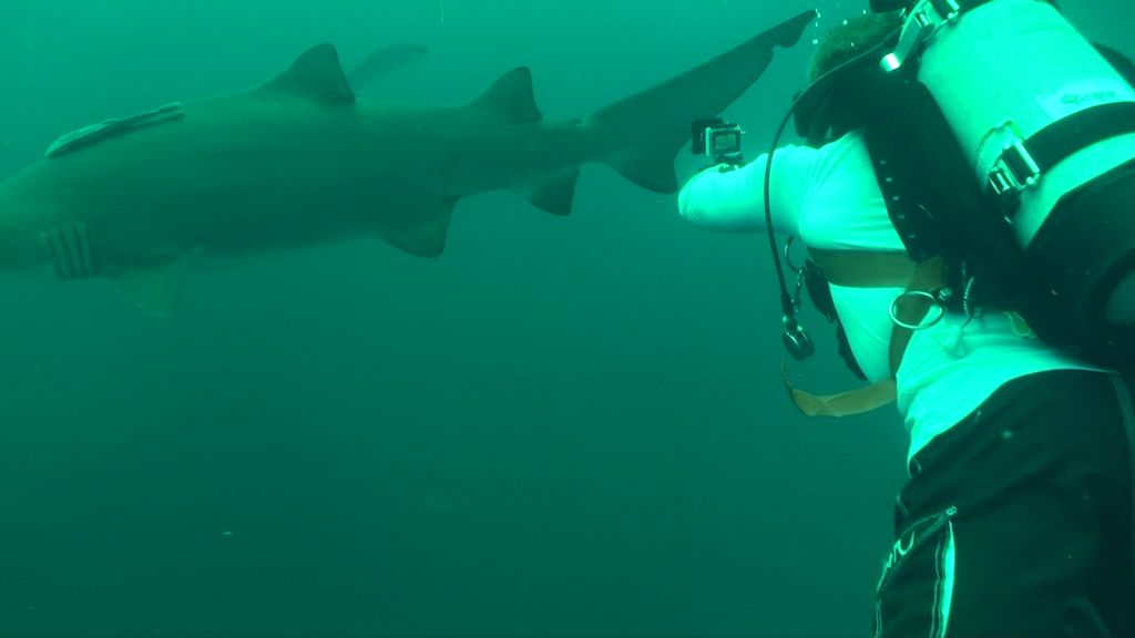 0b5ebbab-25c4-4882-84df-8b081367a567