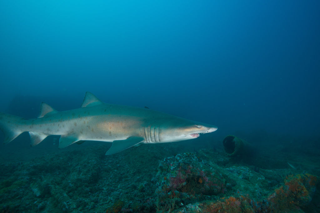 71251464-b7bf-41bf-853d-82fe5f106f41