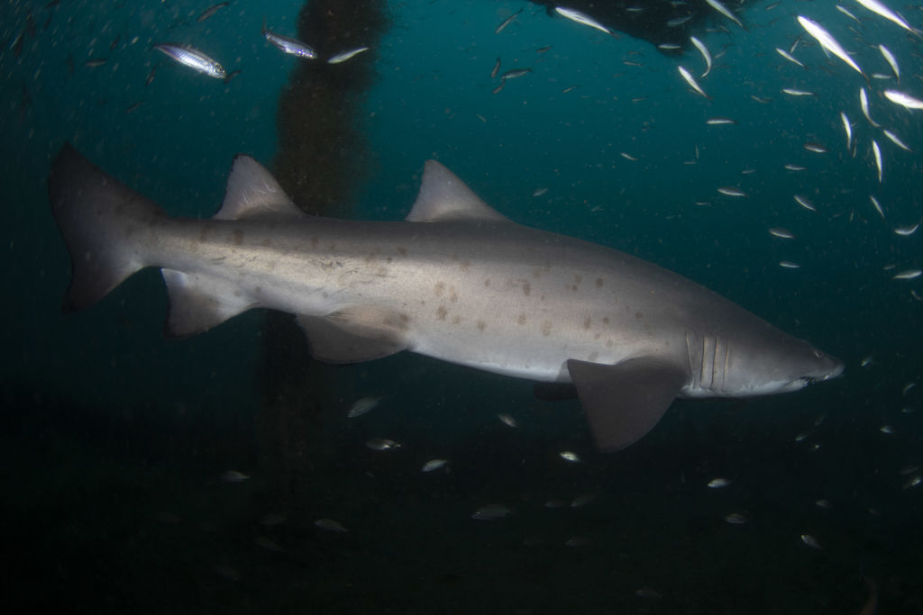 cd1be1a2-f428-49e1-b320-030a5e2375cd