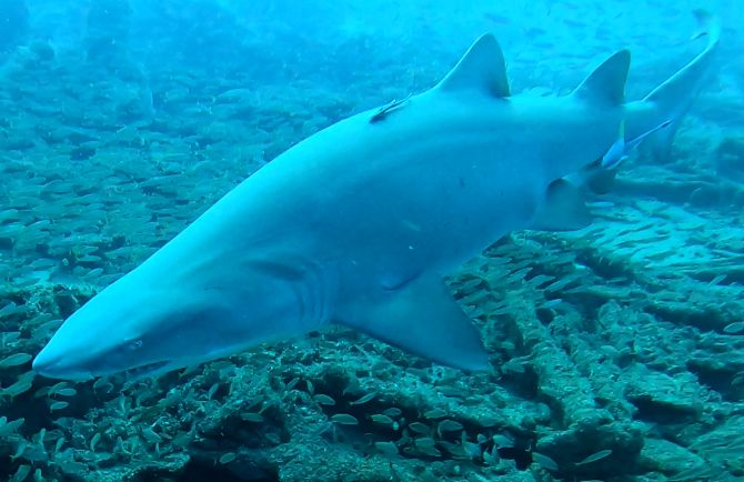 4f29653a-08d2-4b75-9675-bb48ff5c2da4