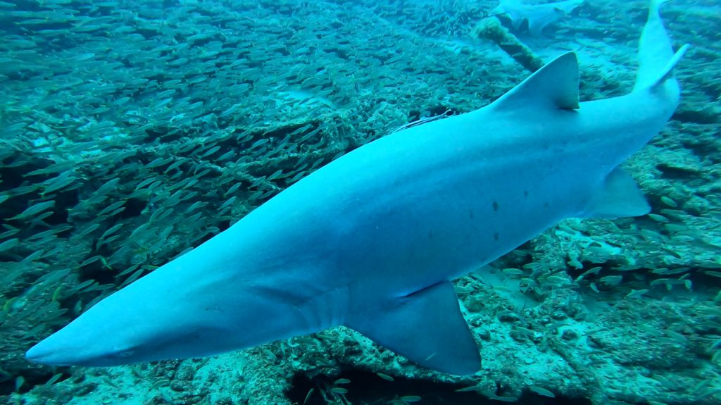 4f29653a-08d2-4b75-9675-bb48ff5c2da4