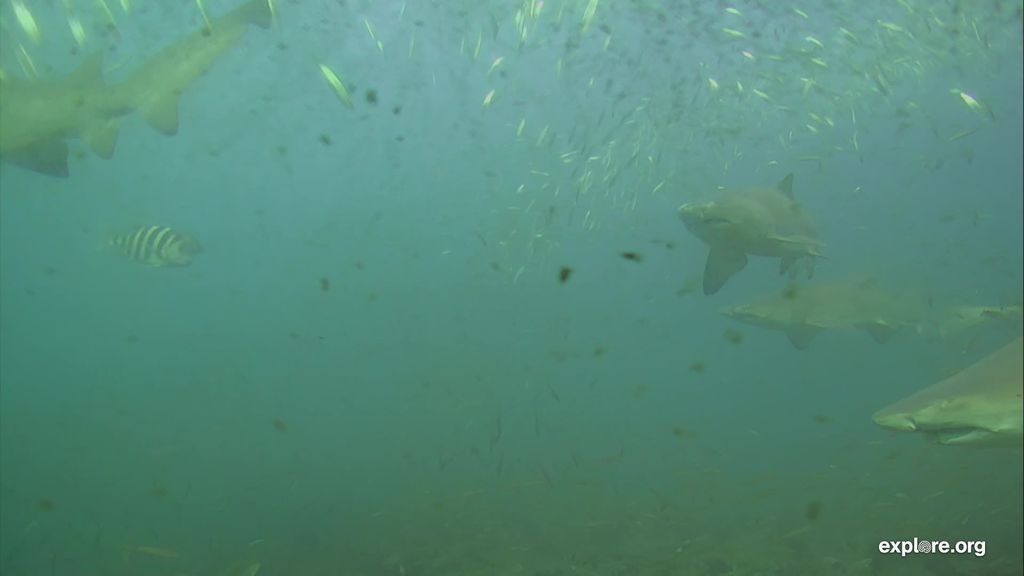 5ec2563b-9eec-48eb-afe7-dabeee20e7cf