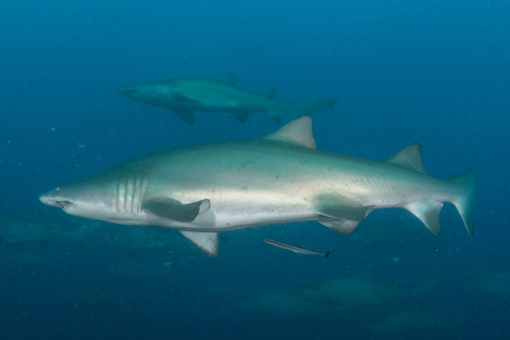 6674a80e-9db9-4ad8-b67f-39aade780c98