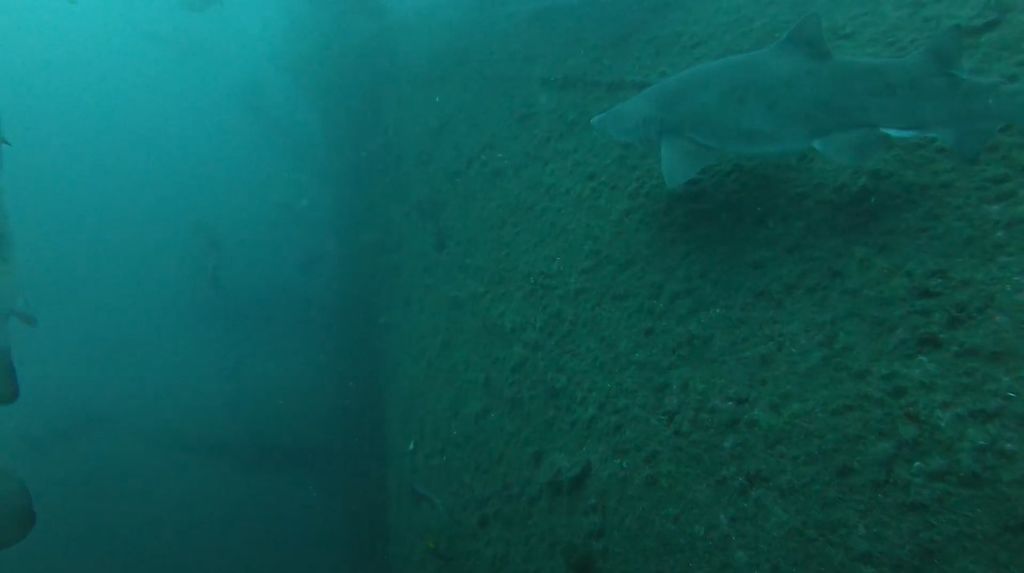 5463b42e-310c-4aa2-871e-65ea1092bc23