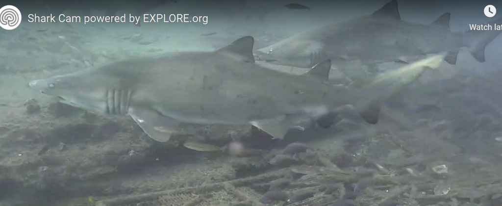 8273401d-a575-45ea-88f1-99336cefe5e9