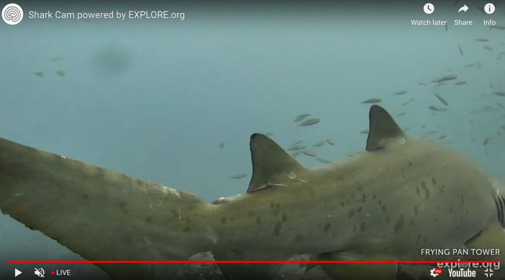 8273401d-a575-45ea-88f1-99336cefe5e9