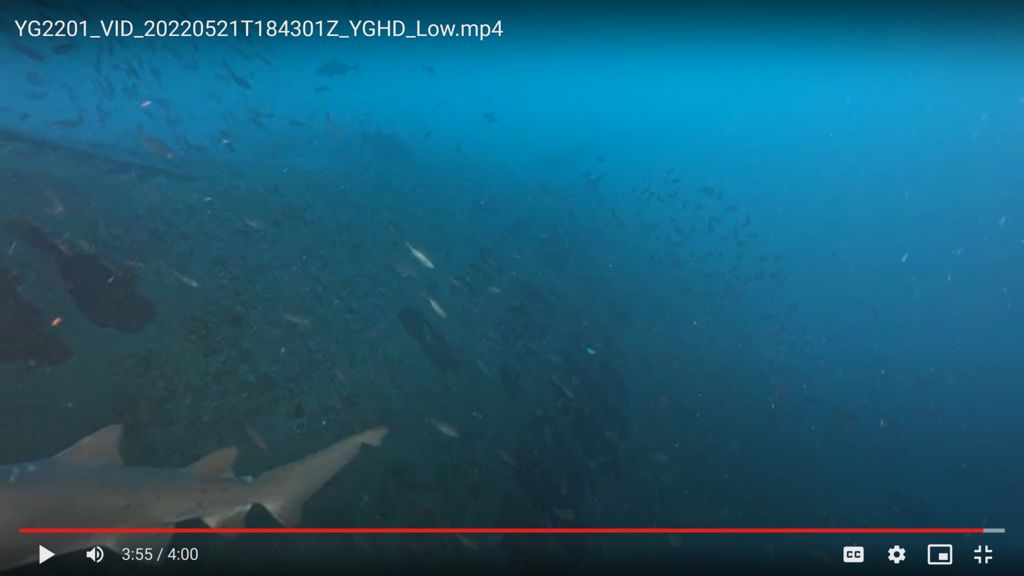 ec989a64-a0cb-478d-93db-285ab66e6b52