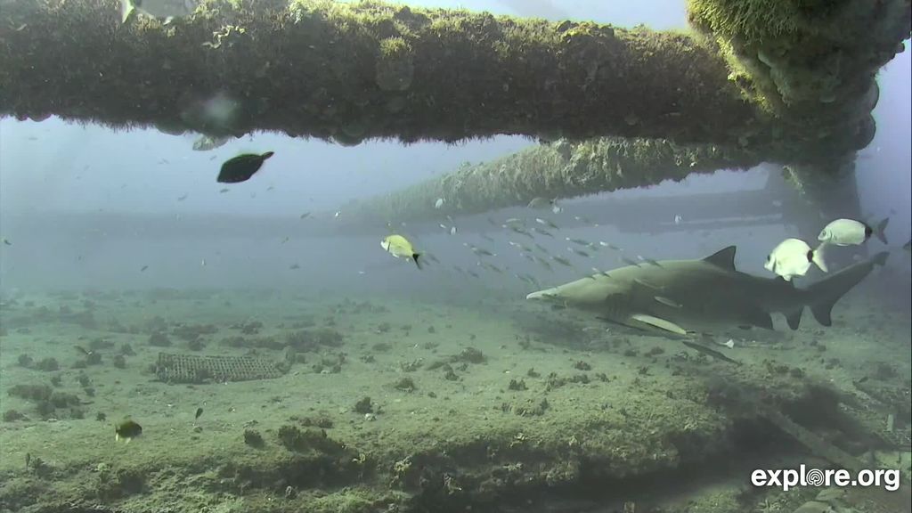 93011436-fb7d-4c9e-8e15-c5a73504627a