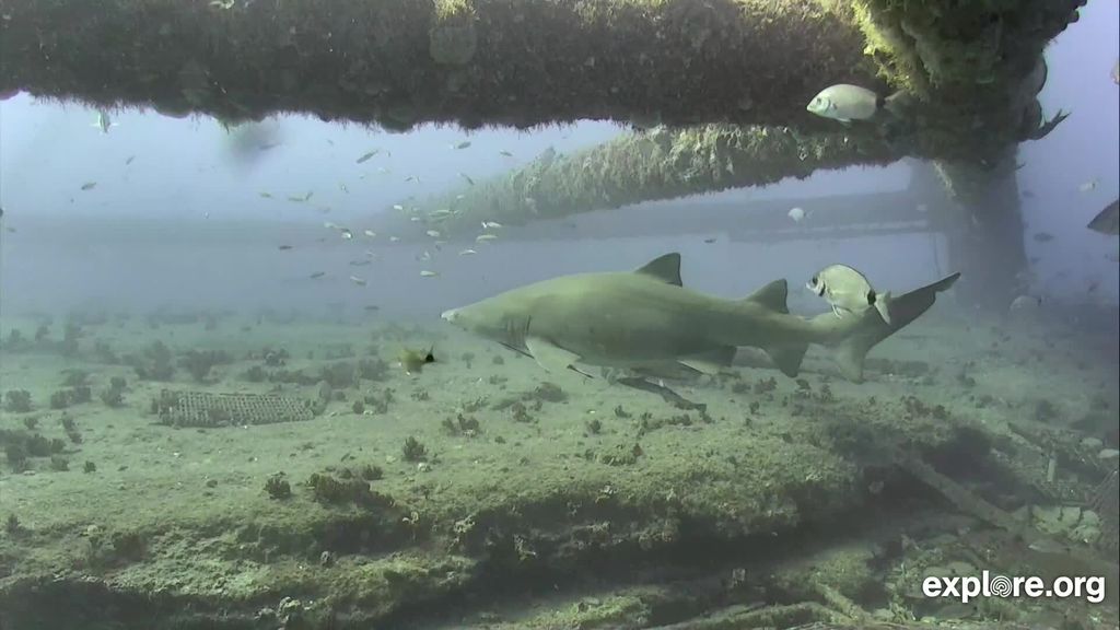 93011436-fb7d-4c9e-8e15-c5a73504627a