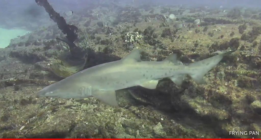 c46808a6-496c-41f8-9a3e-a0853b196997