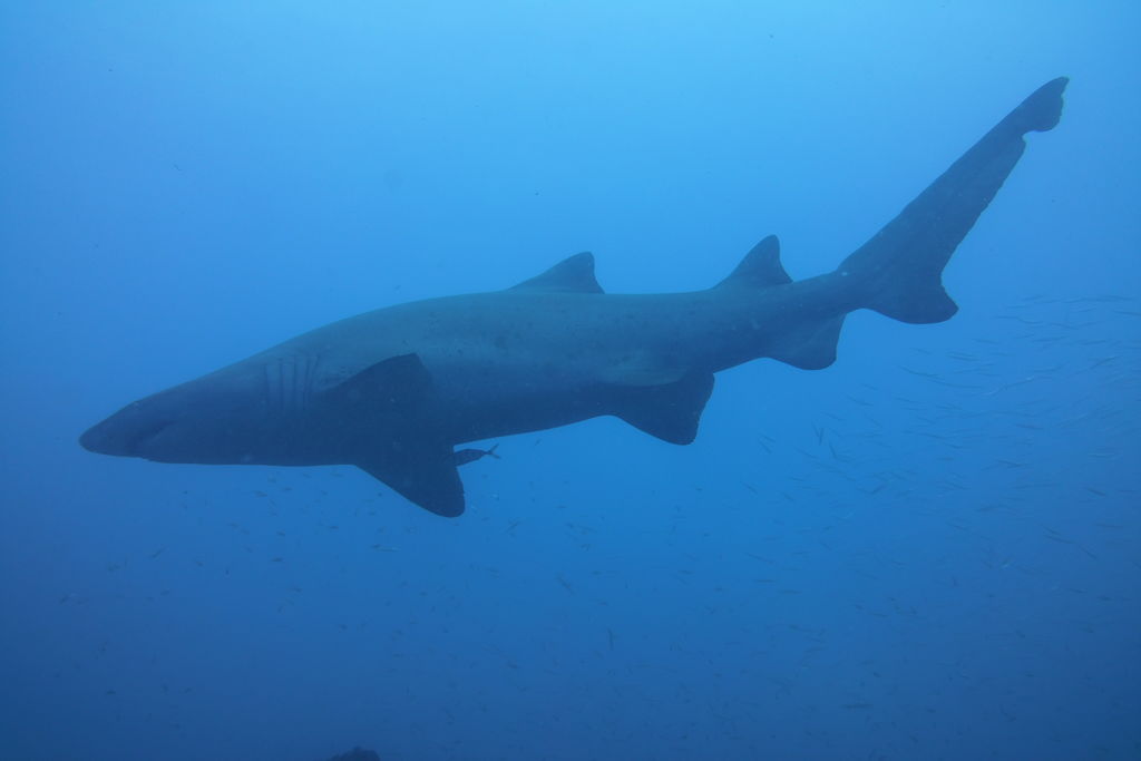 2383529b-79e8-4d53-bb9f-982d7e1456b0