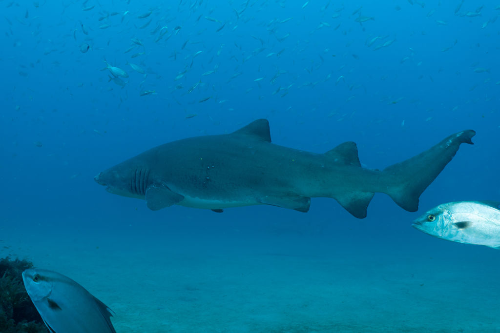 cb2fee59-5bae-48c2-b35e-0413ec9eaed5