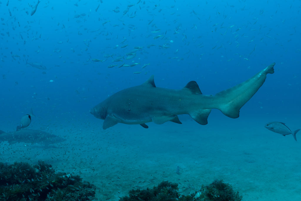 cb2fee59-5bae-48c2-b35e-0413ec9eaed5