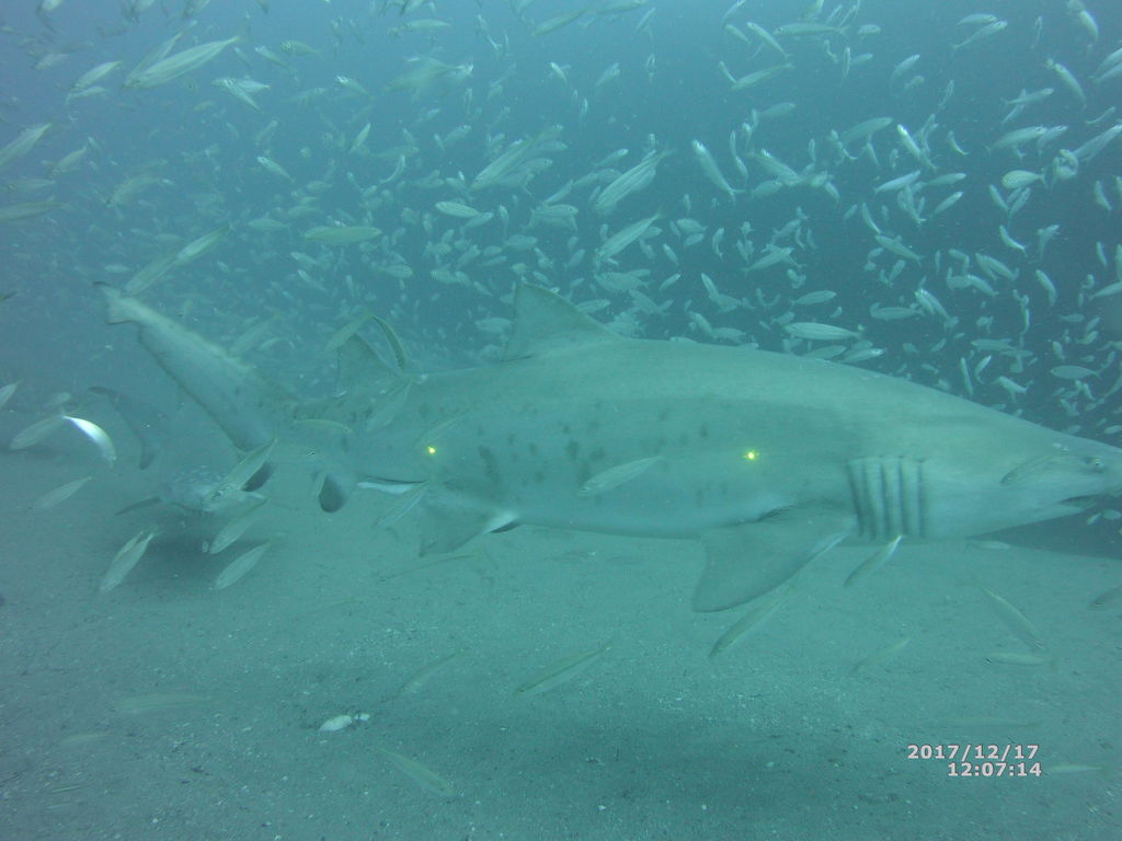 758648e5-48ec-458e-a9ab-341efa212309