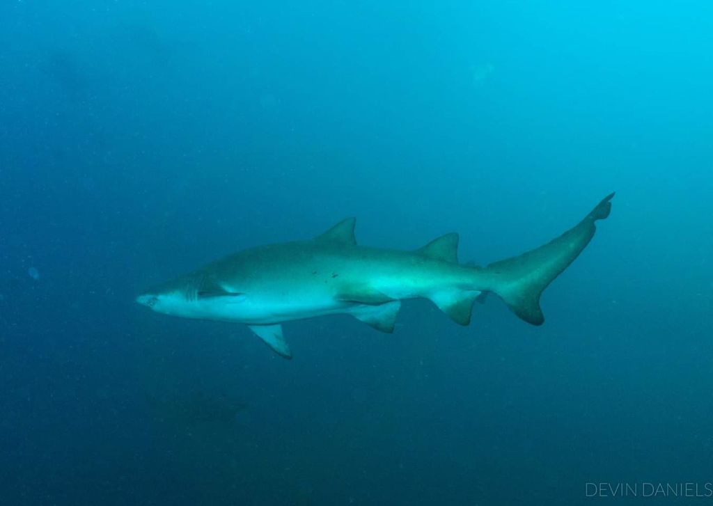 43b9b086-3b24-48aa-961c-c7cf13bc7794